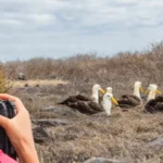 Nuevas tasas de ingreso a Galápagos para su conservación