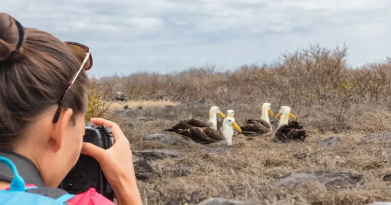 Nuevas tasas de ingreso a Galápagos para su conservación