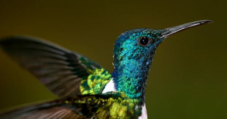 Identifican 125 Áreas Claves para la Biodiversidad en Ecuador